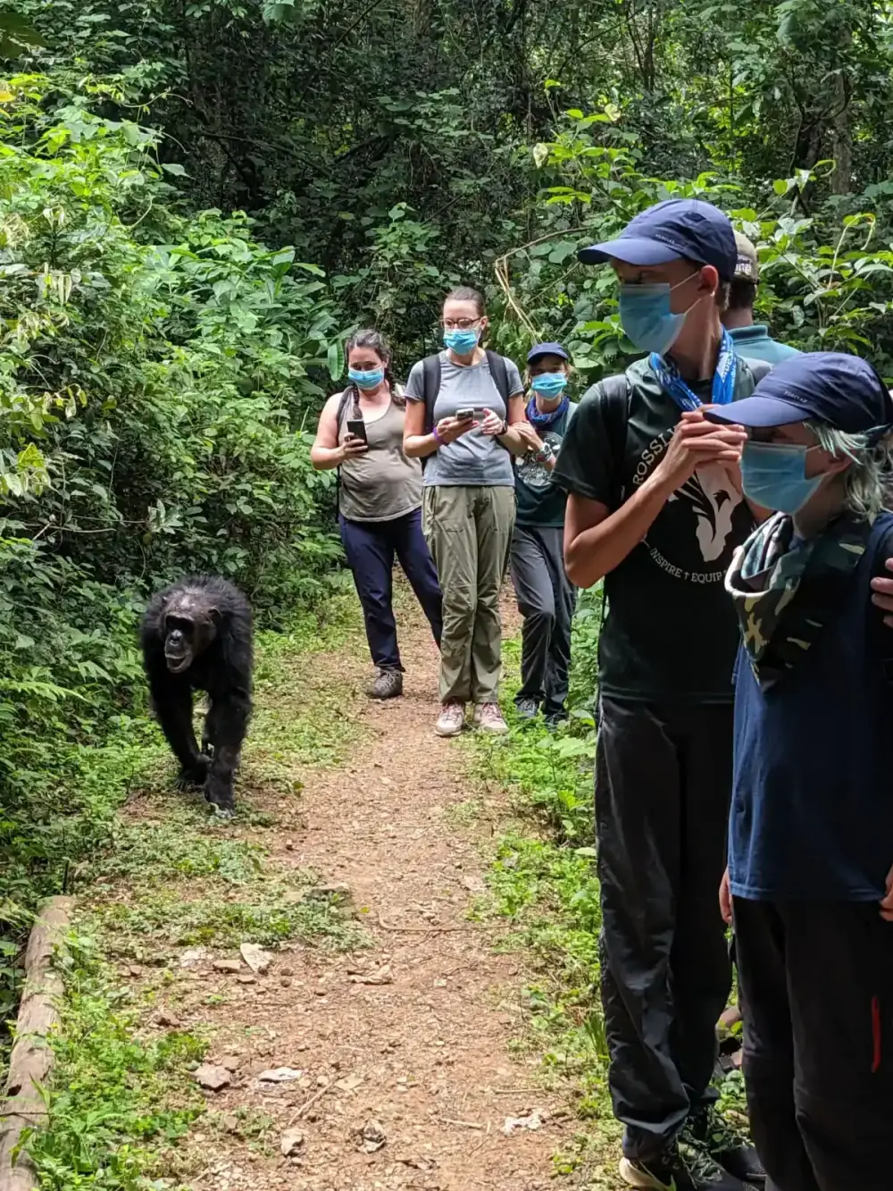 G-Family Adventure Safaris - Primate Trekking & East Africa Journeys